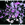 Cropped_25_4925