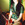 Cropped_25_4901