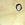 Cropped_25_4900