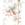 Cropped_25_8649