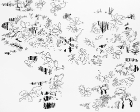 Proportional_280_3968