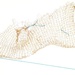 Cropped_75_3924