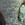 Cropped_25_3922