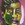 Cropped_25_5603