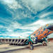 Cropped_75_6790187543_94f576abd9_z