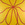 Cropped_25_8600