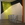 Cropped_25_8593