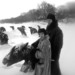 Cropped_75_8274