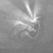 Cropped_75_3699