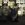 Cropped_25_8488