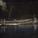 Cropped_75_8204