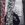 Cropped_25_9006