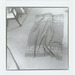 Cropped_75_8109