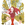 Cropped_25_8232