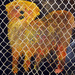 Cropped_75_3305