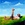 Cropped_25_7997