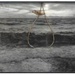 Cropped_75_3273