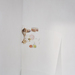 Cropped_75_proportional_710_15slug_fish_spines