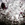 Cropped_25_7791