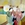 Cropped_25_4974