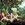 Cropped_25_2235