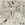 Cropped_25_2237
