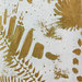 Cropped_75_2614