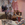 Cropped_25_2262