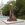 Cropped_25_7622