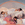 Cropped_25_2264