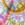 Cropped_25_2266