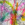 Cropped_25_2269