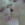Cropped_25_8943