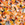 Cropped_25_2289