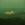 Cropped_25_2527