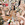 Cropped_25_2292
