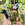 Cropped_25_2293