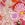 Cropped_25_2294