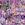 Cropped_25_2295