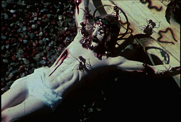 Proportional_620_proportional_710_wojnarowicz