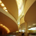 Cropped_75_3257