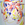 Cropped_25_4232