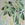 Cropped_25_4231