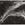 Cropped_25_6521