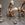 Cropped_25_7188