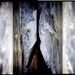 Cropped_75_7786