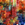 Cropped_25_8245