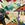 Cropped_25_8177