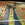 Cropped_25_4099