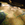 Cropped_25_4096
